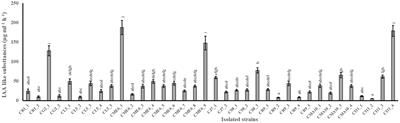 Plant growth–promoting traits of culturable seed microbiome of citrus species from Purvanchal Himalaya